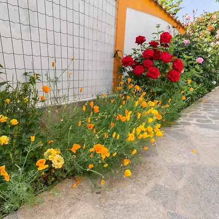 Penzion Rosen Lozenec